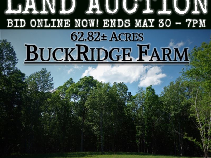 Buckridge Farm : Ridgeway : Fairfield County : South Carolina