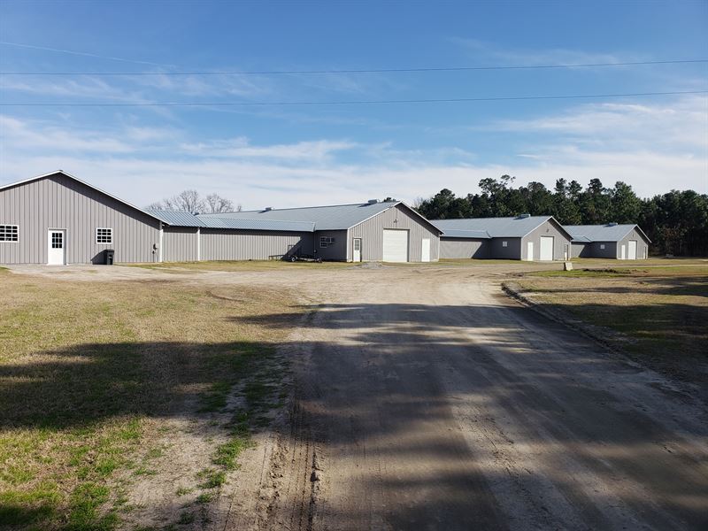 Beautiful Breeder Poultry Farm, Farm for Sale in South Carolina