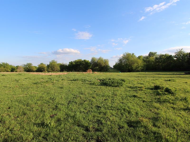 Ranch Land Property Petty Texas, Farm for Sale in Texas, 197791 FARMFLIP