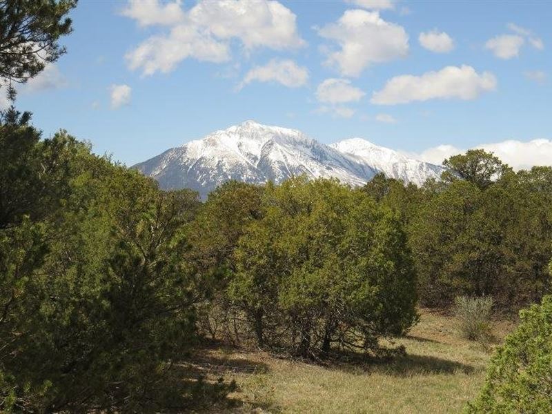 4 Blackhawk Ranch : Walsenburg : Huerfano County : Colorado