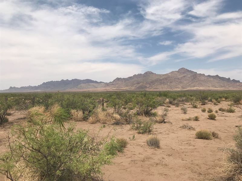 13 City Lots for Sale : Deming : Luna County : New Mexico