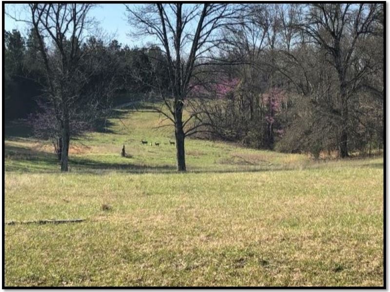 1258 Acres Foxmoor Farm In Lee CO Farm for Sale in Guntown, Lee