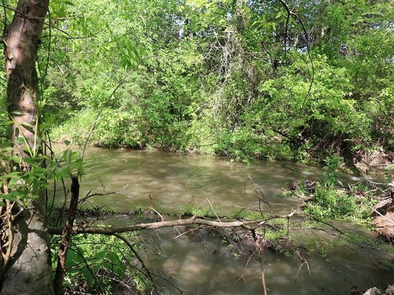 10 Acres On Fresh Water Creek : Zion : Izard County : Arkansas