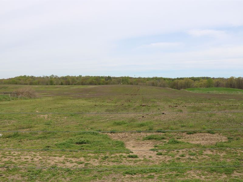 Grain & Livestock Farm Farm Auction in Zanesville, Muskingum County