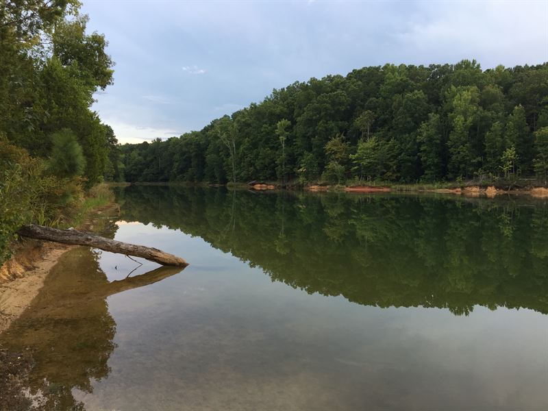 Calhoun Falls Tract, Farm for Sale in South Carolina, 198261 FARMFLIP