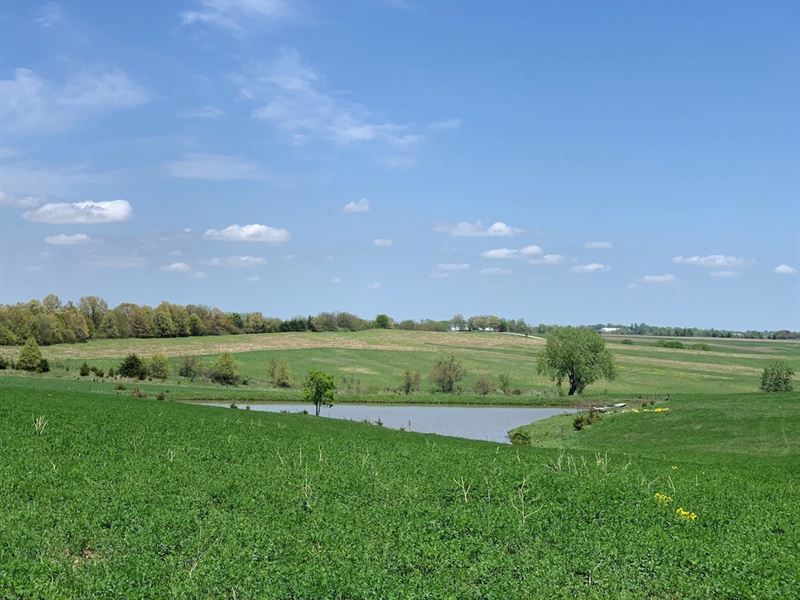 40 Acre Farm Southern Iowa Ringgold Farm for Sale in Redding