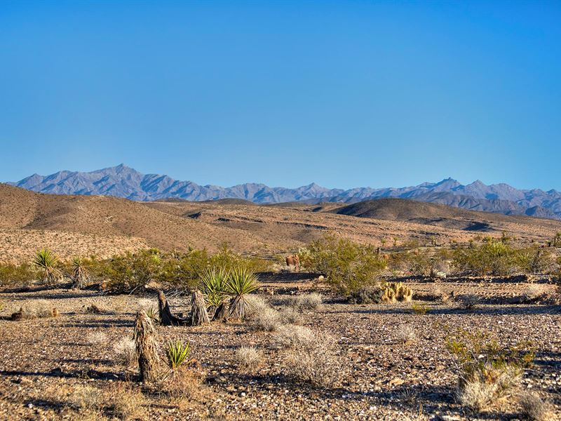 Rare Land Near Lake Mead, Farm for Sale by Owner in Arizona, 198555 FARMFLIP