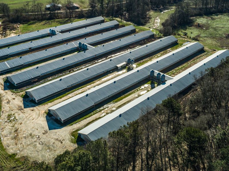 Carroll County Poultry Farm : Carrollton : Carroll County : Georgia