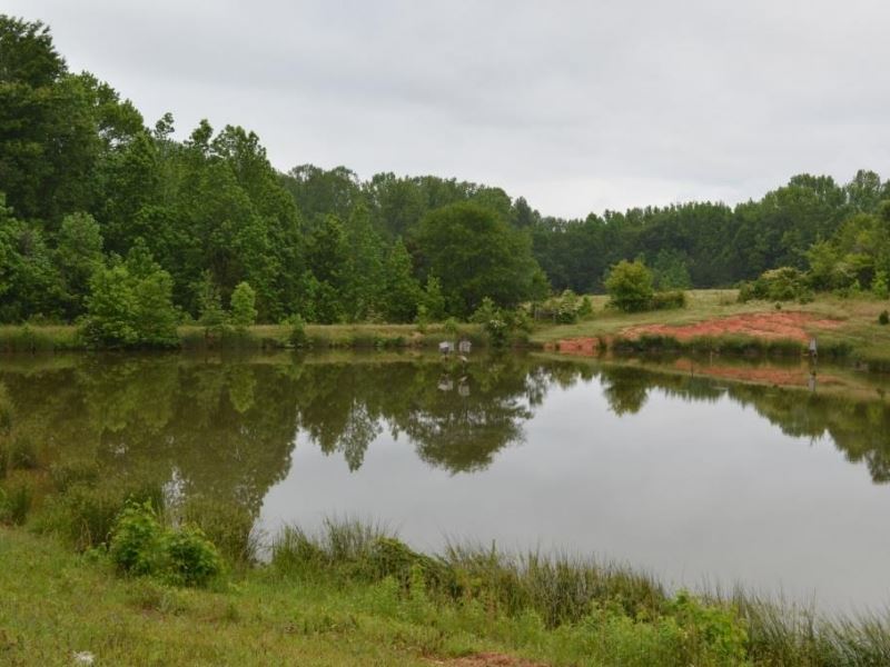 42.63 Acres Fenced Pasture Wit : Townville : Anderson County : South Carolina