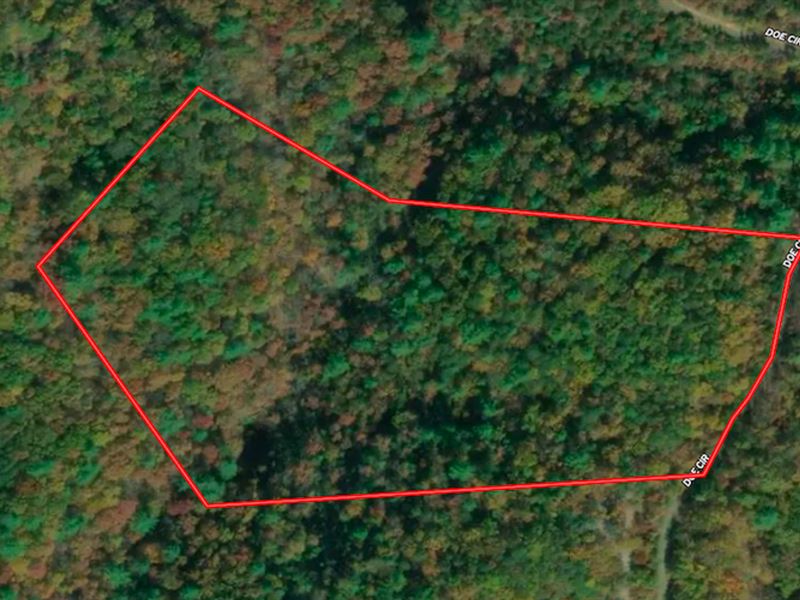 10.58 Acres of Hu : Clifton Forge : Alleghany County : Virginia