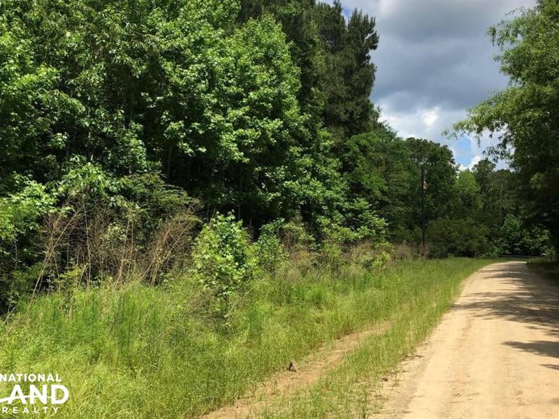 Cottageville City Limits Farm for Sale in Cottageville, Colleton