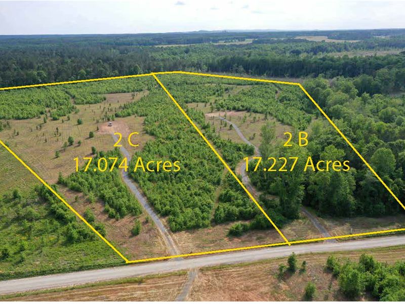17 Acres Home Sites : Barnesville : Lamar County : Georgia