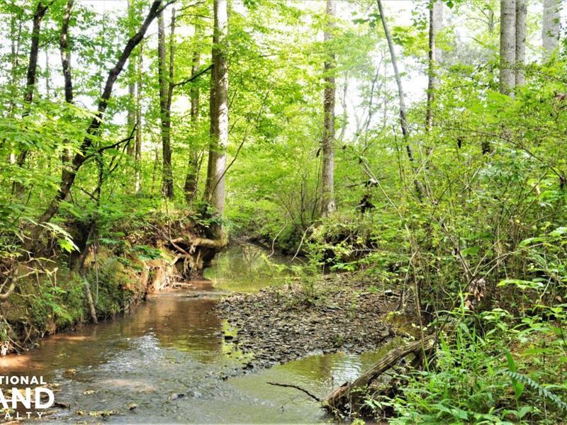 Camp Creek Mini Farm And Homesite Farm for Sale in Green Pond, Bibb