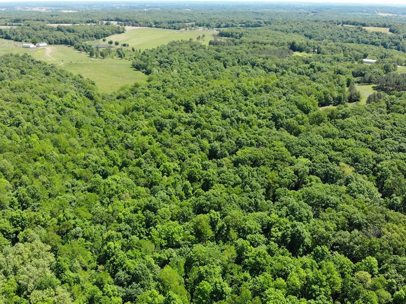 Hunting Property Cabin Cape Farm for Sale in Whitewater, Cape