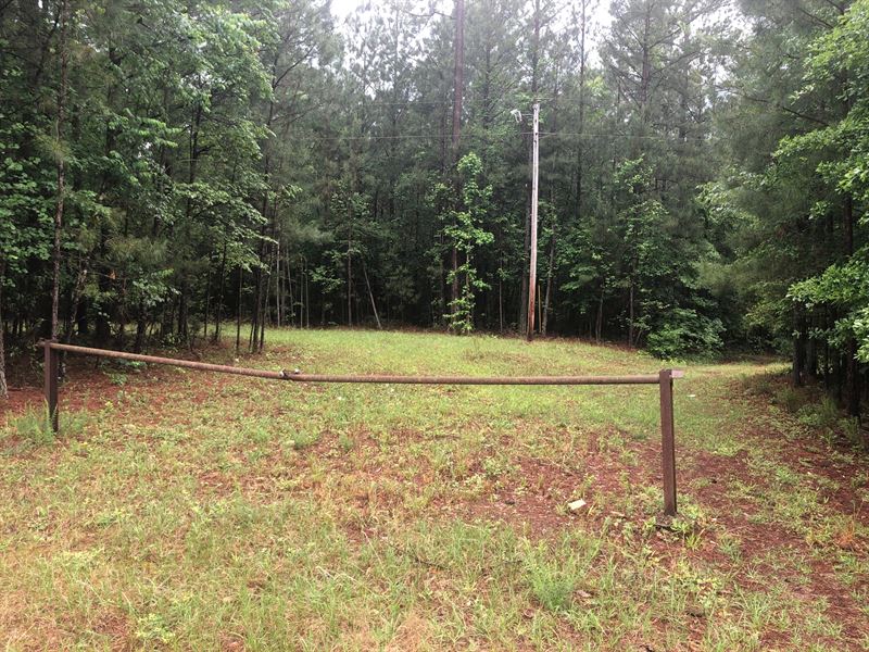 Old Salem Road Farm : Farmington : Oconee County : Georgia