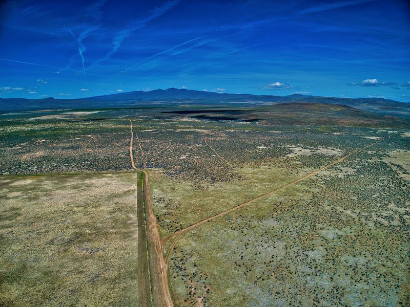Mule Deer Hunting Mecca : Litchfield : Lassen County : California