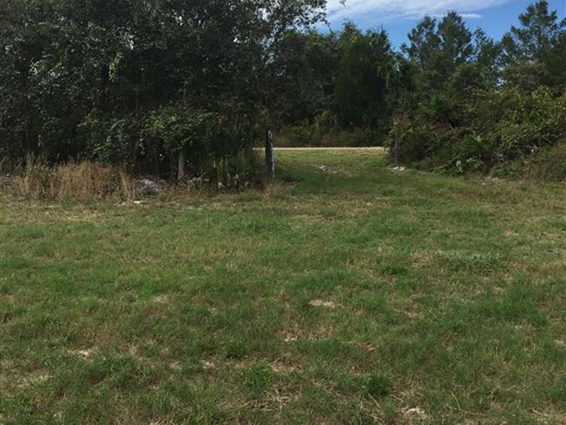 10 Acres, 2 Parcels Owner Financing, Farm for Sale in Florida, 199098
