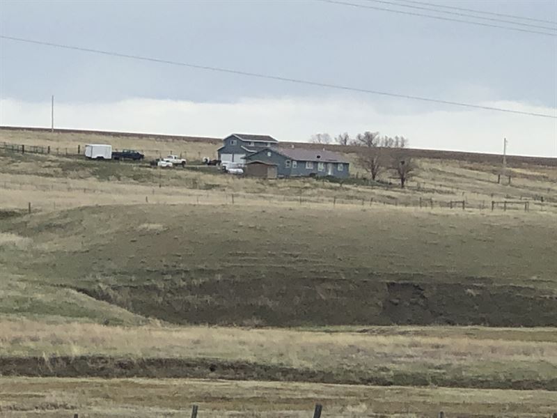 Fairfield Bench Horse Farm : Fairfield : Teton County : Montana