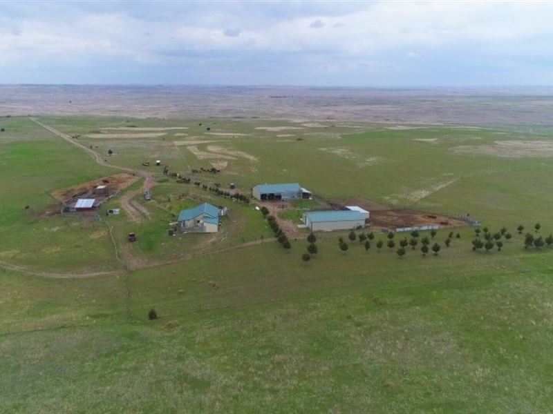 Wellfleet Hobby Ranch Farm for Sale in Wellfleet, Lincoln County