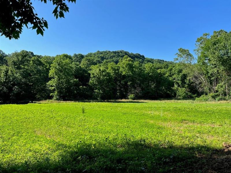 Northern Giles County Farm, Farm for Sale in Tennessee, 199450 FARMFLIP