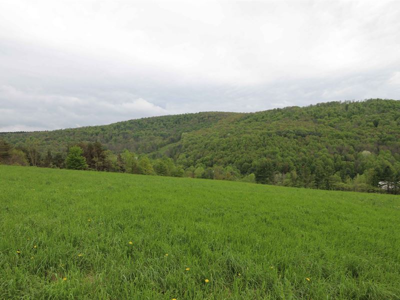 Catskills Mixed, Use Acreage, Farm for Sale in New York, 199557 FARMFLIP