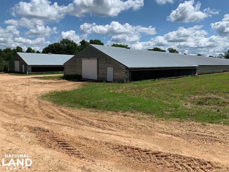 Chicken Farm Near Wesson Mississipp, Farm for Sale in Mississippi