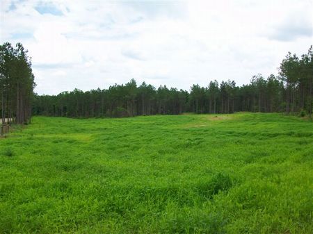 21.76 Acres Horsefarm Or Homesite : White Plains : Greene County : Georgia
