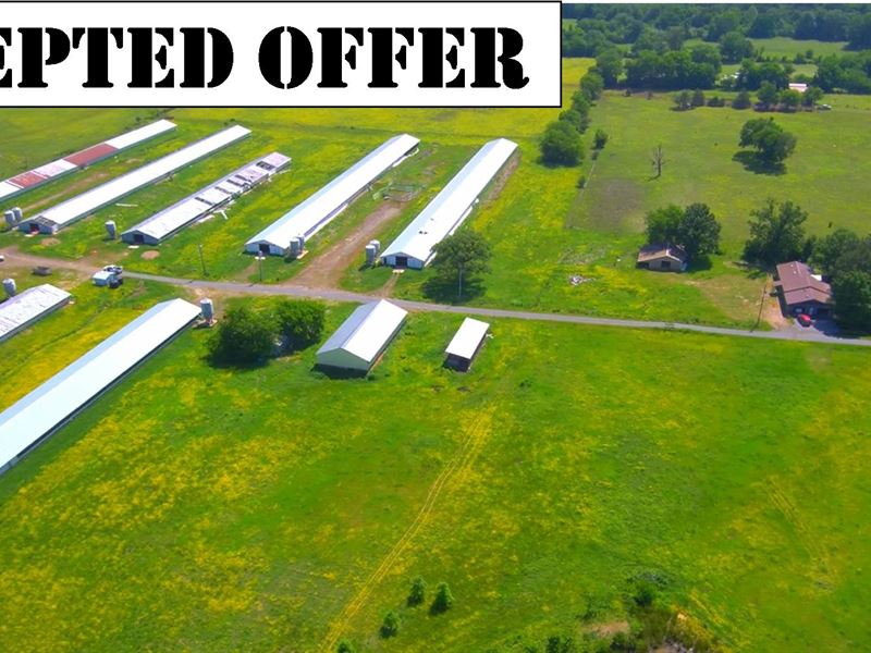 Hobby Farm 55 Acres Near Altus AR : Altus : Franklin County : Arkansas