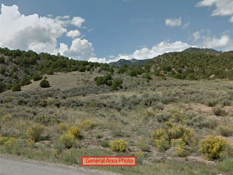 5 Acres Of Mountain Paradise : Fort Garland : Costilla County : Colorado
