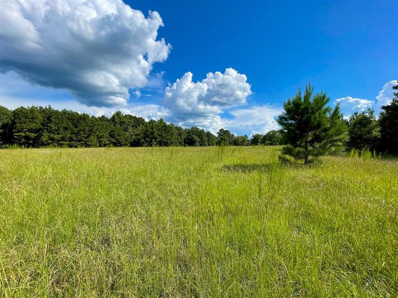 Beautiful Unrestricted Lot Just Out : Union Springs : Bullock County : Alabama