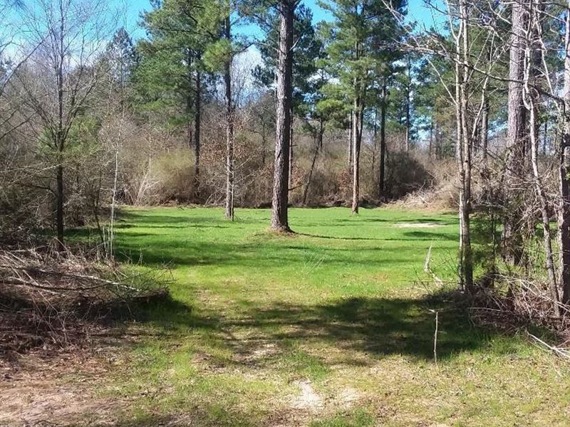 126 Acres Near Union Mississippi Farm for Sale in Union, Neshoba