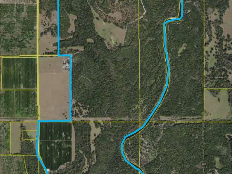 750 Acre Hunting Ranch Arcadia, Farm for Sale in Florida, 200053