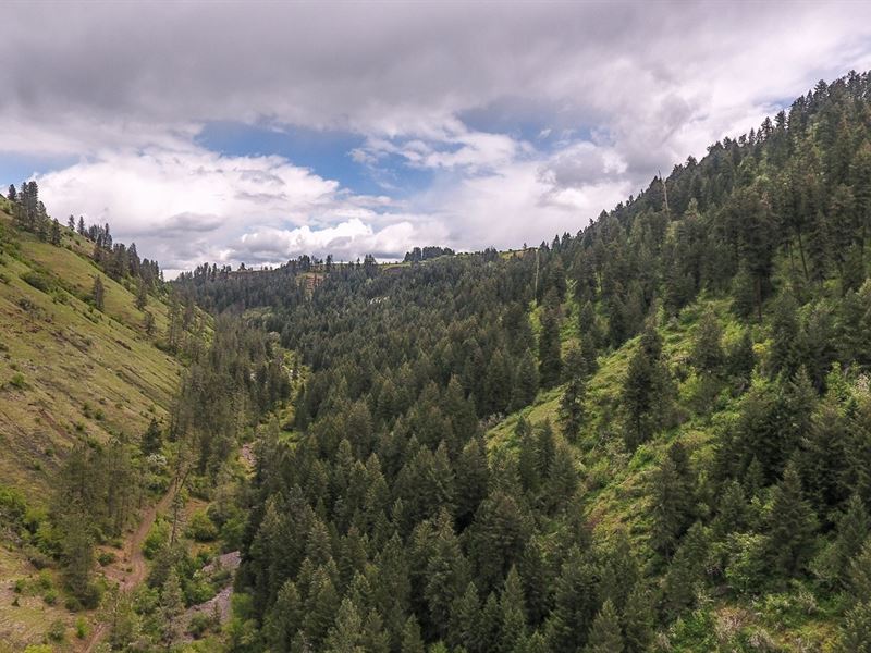 Off Grid Land Sale Idaho County : Stites : Idaho County : Idaho