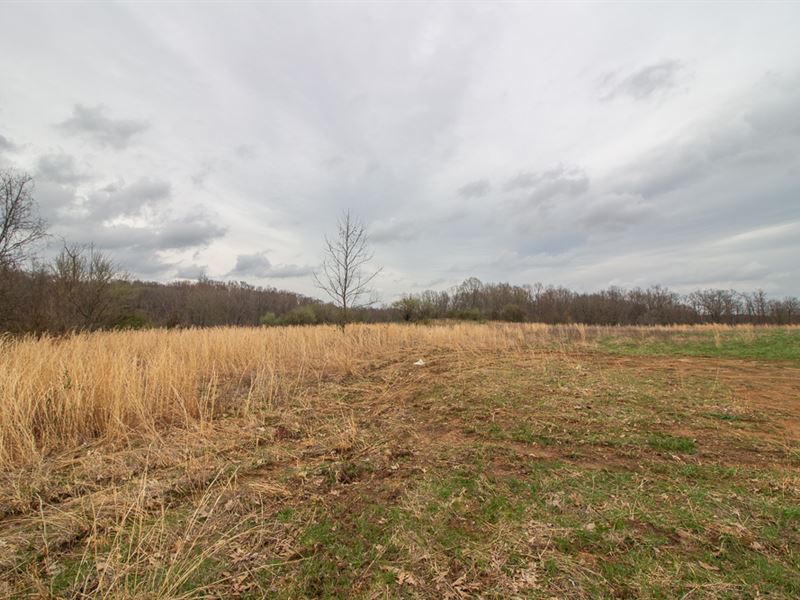 Waibel Farm Rd, 49 Acres, Farm for Sale in Ohio, 200179 FARMFLIP