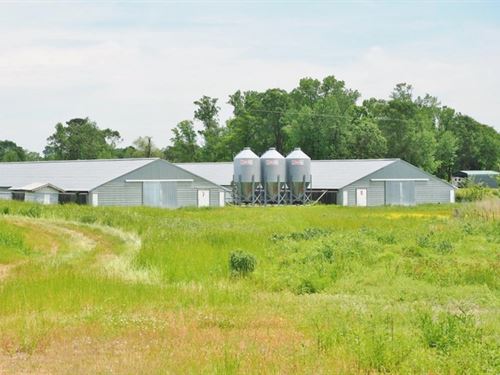 Mississippi Poultry Farms For Sale Poultry Farmland For Sale Farmflip