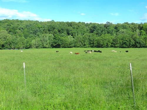 Arkansas Farms For Sale Farmland For Sale Farmflip