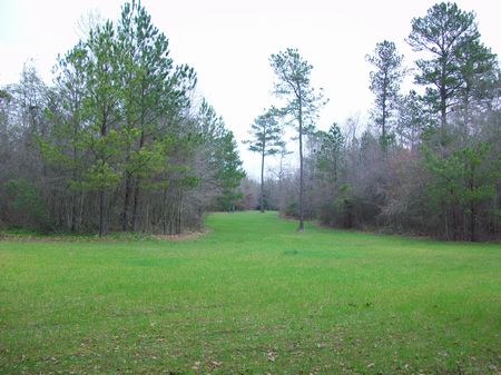 Outdoorsman Paradise : Gordon : Wilkinson County : Georgia