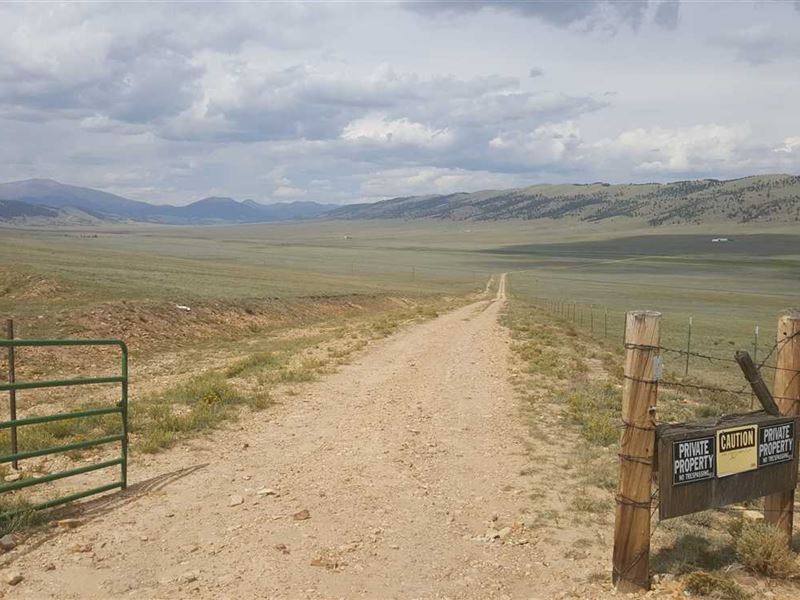 Price Reduced, Rocky Mountain Elk : Fairplay : Park County : Colorado