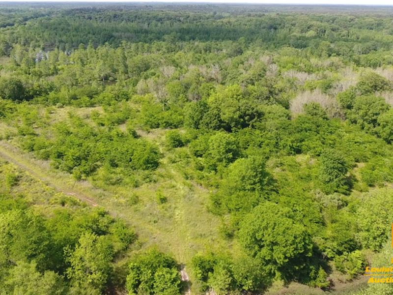 Court Ordered Absolute Land Auction : Colfax : Grant Parish : Louisiana