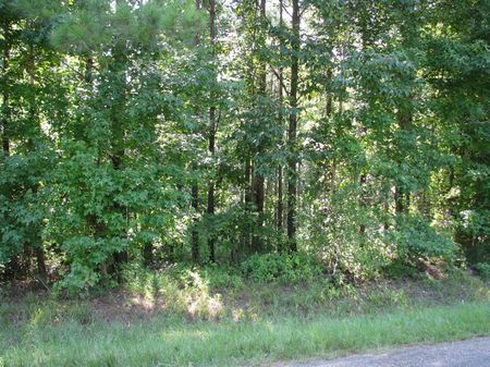 Vineland 170 : Pine Hill : Marengo County : Alabama