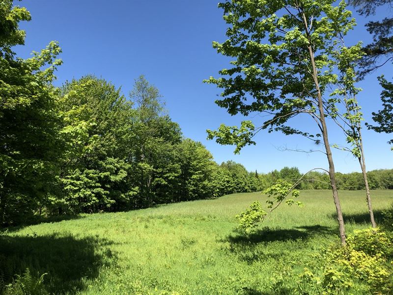 Lewis County Woodlands, Farm for Sale in New York, 201120 FARMFLIP