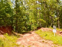 densely wooded mini farm farm for sale in letohatchee lowndes county alabama 257275 farmflip farmflip