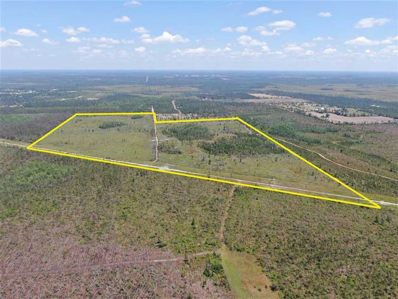 156 Acres Big Mac Rd, Farm for Sale in Florida, 201198 FARMFLIP