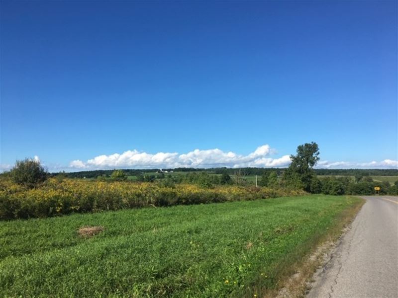Abandoned Farmland Scenic Views : Canajoharie : Montgomery County : New York