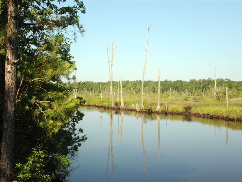 Brunswick Co Nc Riverfront Acreage, Farm for Sale in North Carolina