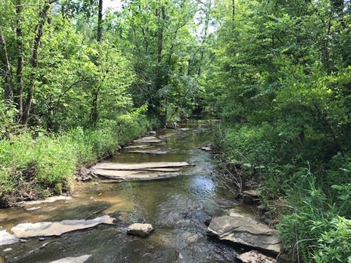 878 Ac, Creeks / Ponds, Development : Odenville : Saint Clair County : Alabama