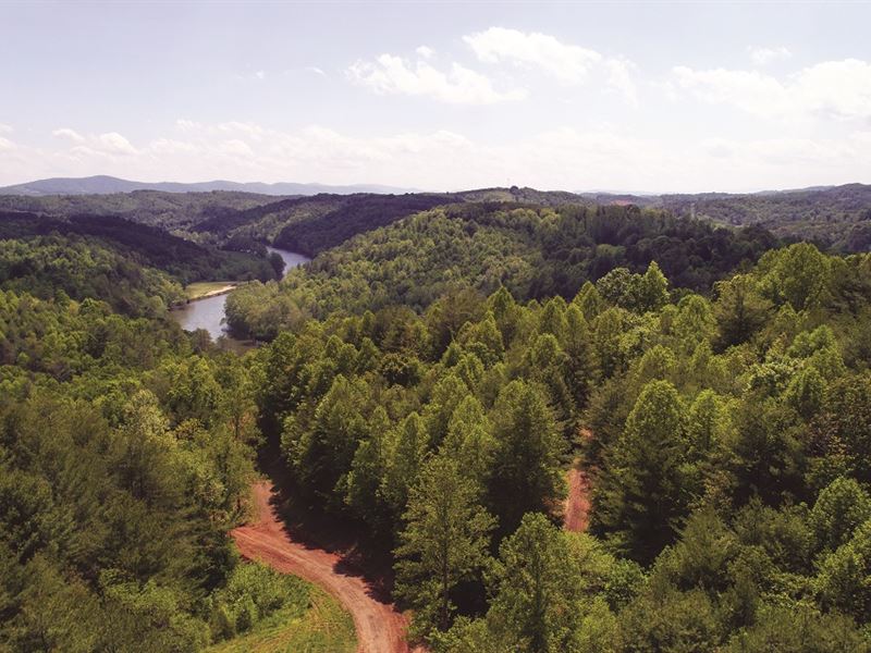 Perfect River Lots To Be Auctioned, Farm Auction in Virginia, 201598