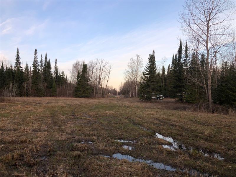 Blackduck MN Hunting Land Shooks, Farm for Sale in Minnesota, 201641 FARMFLIP