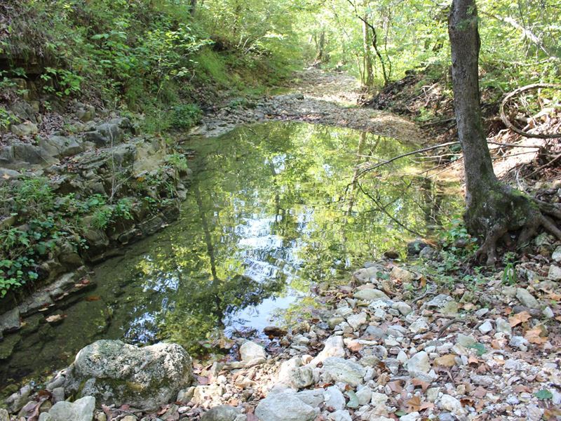 170 Acres Wooded Land Live Creek : Camdenton : Camden County : Missouri