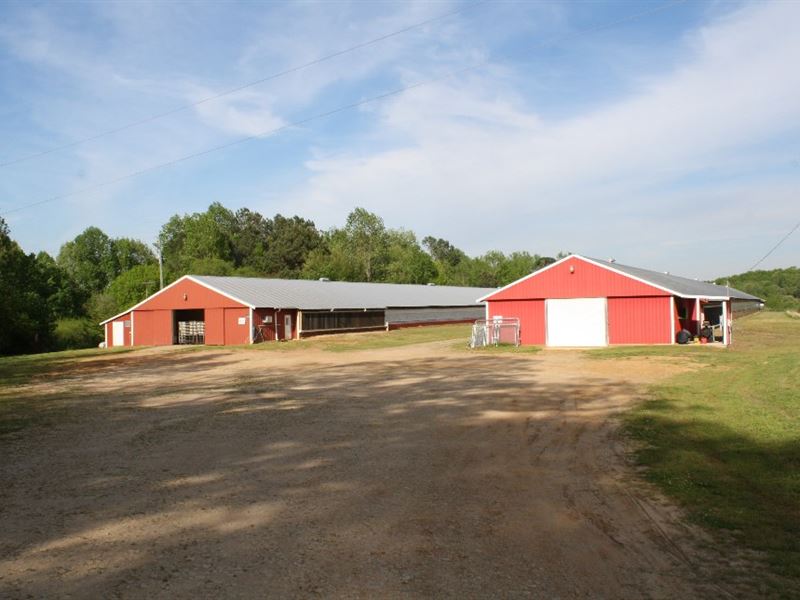 Cleburne Cty Breeder & Cattle Farm, Farm for Sale in Alabama, 201858